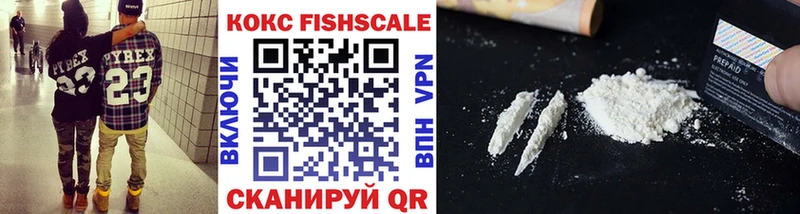 Cocaine FishScale mega как войти Лабытнанги