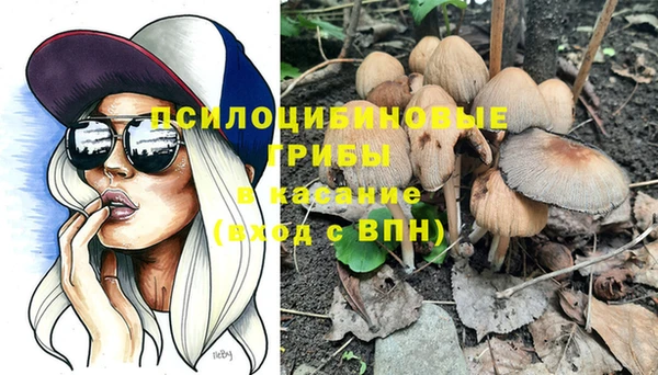 прущая мука Алексин