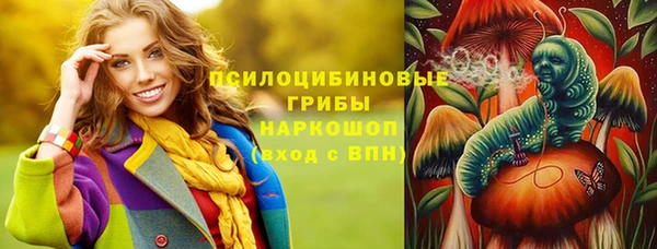стафф Алзамай