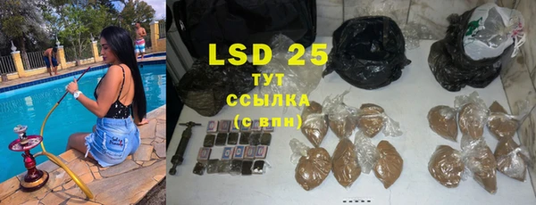 стафф Алзамай