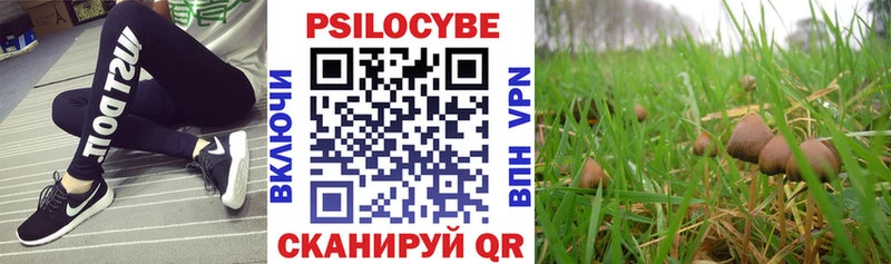 хочу наркоту Лабытнанги Псилоцибиновые грибы прущие грибы